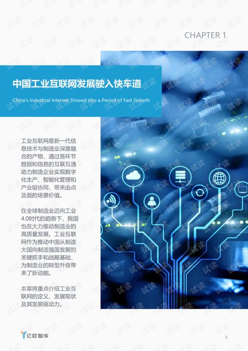 賽意信息專項研究 電子信息產業(yè)工業(yè)互聯網發(fā)展報告